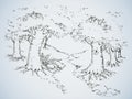 Path among oak groves. Vector drawing