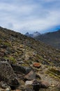 Walking trail on Mount Ruapehu, Tongariro National Park, New Zealand Royalty Free Stock Photo