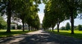 Tree lined road to stately manor