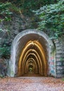 Narrow tunnel in the forest. Empty tunnel with illumination in the woods. Rural road and archway on Camino de Santiago, Spain.