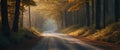 Narrow two lane road through the forest i. Royalty Free Stock Photo