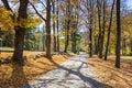 Narrow Unopaved Country Road in Autumn Royalty Free Stock Photo