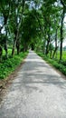 Narrow Village Road in Bangladesh.