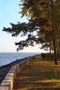 Narrow walkway along the river in autumn park. Fallen orange leaves on the pathway. Picturesque golden color autumn in sunny day.