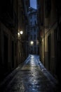 narrow, wet alleyway at night, illuminated by street lamps, between tall, old buildings, creating a serene yet mysterious Royalty Free Stock Photo