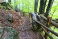 Narrow and wet steep mountain path in the forest with thick fog and with old railing Royalty Free Stock Photo