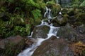 Narrow white stream of water flows between wet stones