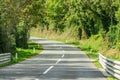 Narrow Winding Asphalt Road through Forest with Green Trees, Grass and Bushes in Slovenia Royalty Free Stock Photo