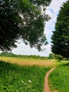The narrow winding countryside path in Summertime Royalty Free Stock Photo