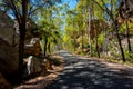 A narrow winding forest road in Blackdown Tableland National Park, Queensland, Australia