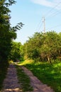 Narrow winding pathway in typical Ukrainian village. Countryside dirt road. Panoramic rural landscape view. Royalty Free Stock Photo