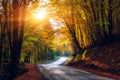 Narrow winding road in dark autumn forest, beautiful landscape with colored trees and sun, natural travel background Royalty Free Stock Photo