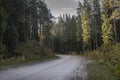 Narrow winding road in yellow autumn forest, nature landscape Royalty Free Stock Photo