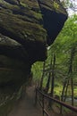 Narrow winding trail through forest along the rocks and Kamenice River in Bohemian Switzerland National Park Royalty Free Stock Photo