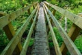 A Narrow Wood Footbridge on a Hiking Trail Near Squak Mountain, Washington, USA