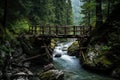 a narrow wooden bridge crossing a mountain stream Royalty Free Stock Photo