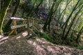 Narrow wooden bridge on a hiking trail, Castle Rock State Park, Santa Cruz mountains, San Francisco bay, California Royalty Free Stock Photo
