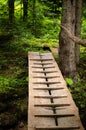 Narrow wooden bridge over a mountain river Royalty Free Stock Photo