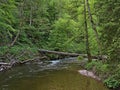 Narrow wooden footbridge spanning a flowing river in idyllic Wutach Gorge, Black Forest, Germany surrounded by green forest. Royalty Free Stock Photo