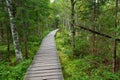 Narrow wooden pathway in the forest