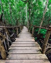 Narrow wooden bridge