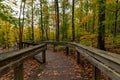 Narrow wooden walkway in a forest covered in dried leaves in autumn in Michigan Royalty Free Stock Photo