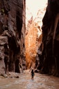 The Narrows hike at Zion National Park in Utah USA Royalty Free Stock Photo