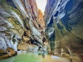 Narrows hike Zion Park