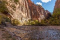 The Narrows Landscape Zion National Park Royalty Free Stock Photo