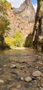 Entrance to the Narrows Virgin River flowing through Zion National Park , Utah