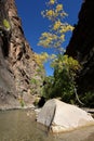 The Narrows trail in Zion National Park Royalty Free Stock Photo