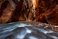 The narrows trail, Zion national park, Utah Royalty Free Stock Photo