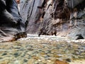 The Narrows, Virgin river, Zion National Park