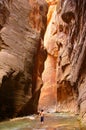The Narrows of Zion Royalty Free Stock Photo