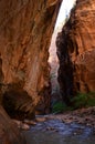 Narrows of Zion Canyon in Zion National Park, Utah, United States Royalty Free Stock Photo