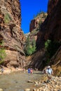 The Narrows, Zion National Park