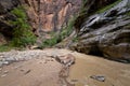 The Narrows, Zion National Park, Utah Royalty Free Stock Photo