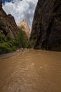 The Narrows, Zion National Park, Utah Royalty Free Stock Photo