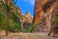 People hiking in Zion Narrow with Virgin River in summer season.