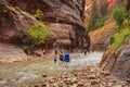 People hiking in Zion Narrow with Virgin River in summer season.