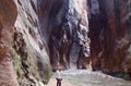 The Narrows, Zion National Park, Utah