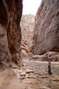 The Narrows, Zion National Park, Utah Royalty Free Stock Photo