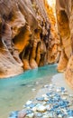 The Narrows, Zion National Park Royalty Free Stock Photo