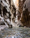 The Narrows in Zion NP Royalty Free Stock Photo