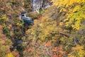 Naruko Gorge Autumn leaves in the fall season, Japan Royalty Free Stock Photo