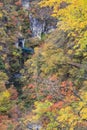 Naruko Gorge Autumn leaves in the fall season, Japan Royalty Free Stock Photo