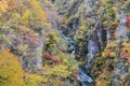 Naruko Gorge Autumn leaves in the fall season, Japan Royalty Free Stock Photo