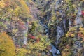 Naruko Gorge Autumn leaves in the fall season, Japan Royalty Free Stock Photo