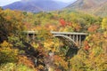 Naruko Gorge Autumn leaves in the fall season, Japan Royalty Free Stock Photo