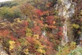 Naruko Gorge Autumn leaves in the fall season, Japan Royalty Free Stock Photo